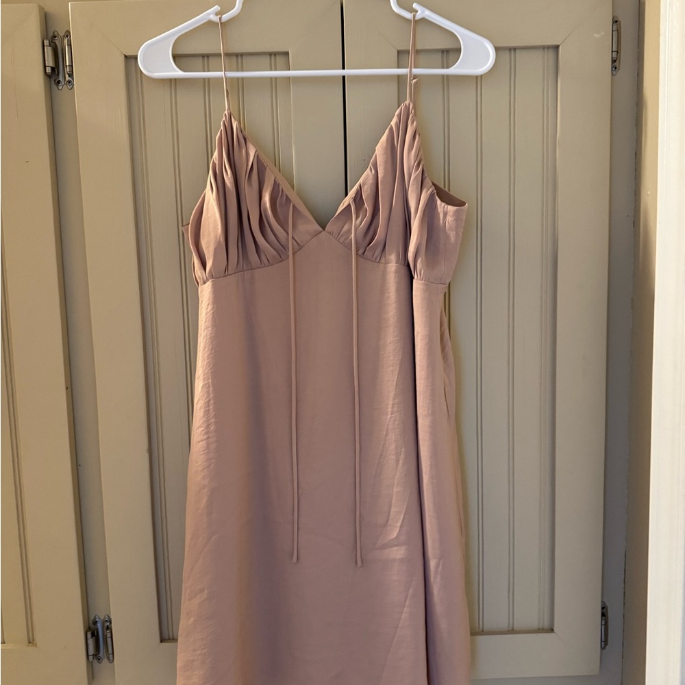 Naked Zebra Blush Pink Mini Dress